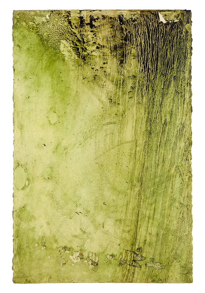 chontaduro papel 10.jpg
